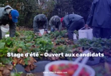 Opportunité d'emploi dans les fermes américaines