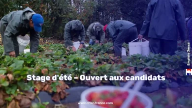 Opportunité d'emploi dans les fermes américaines